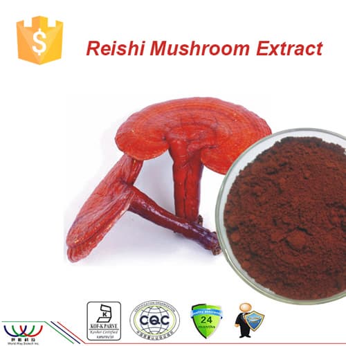 Pure natural ganoderma_reishi mushroom extract